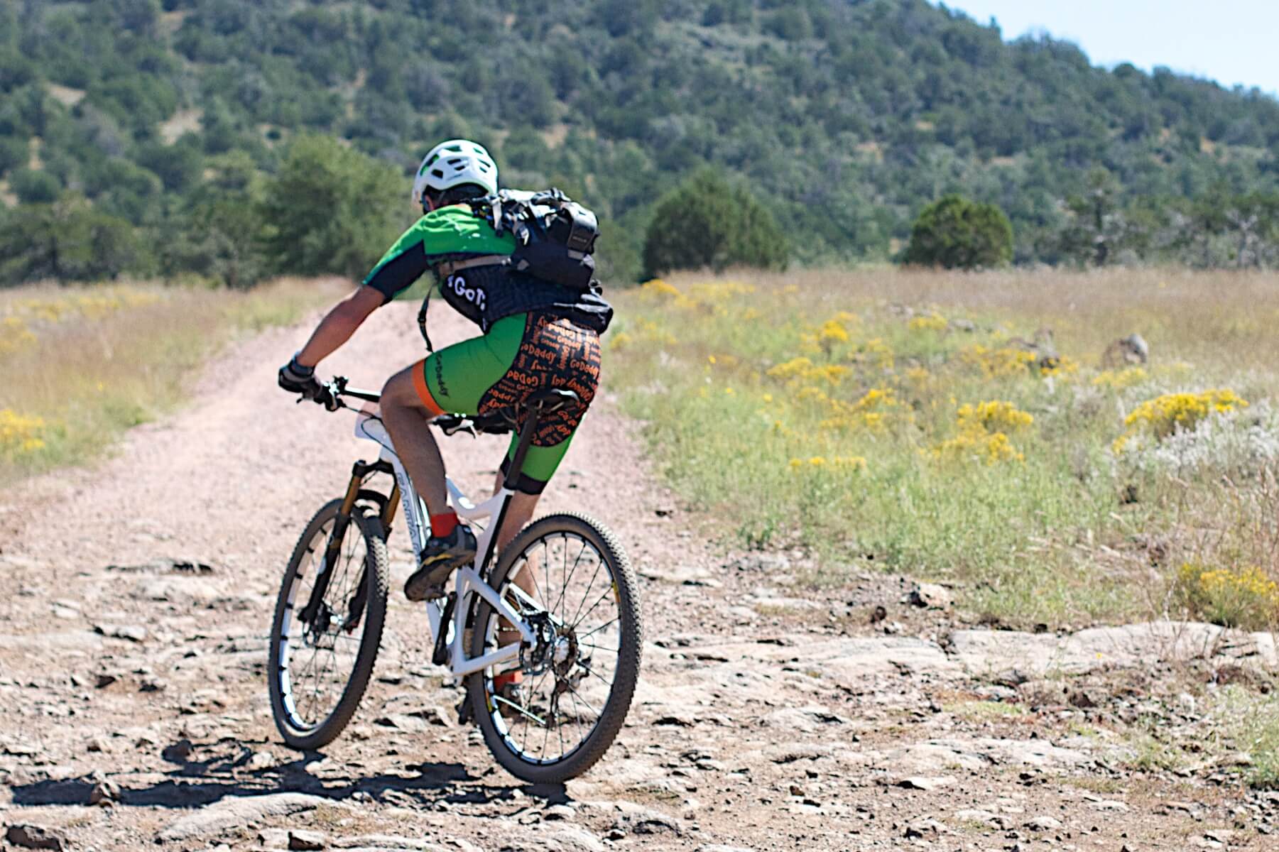 Curabitur id mauris id enim